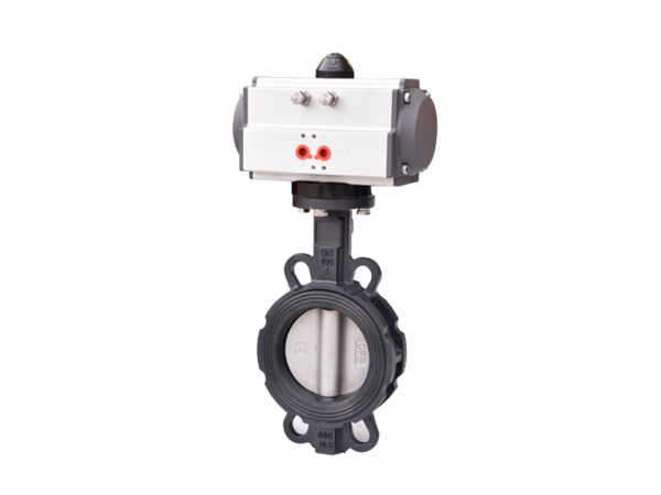 Centric Construction Butterfly Valve