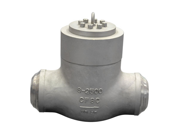 Pressure Seal Check Valve