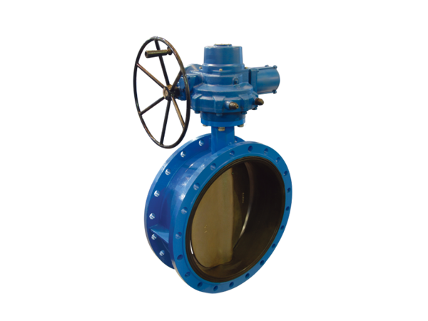 Double eccentricity Butterfly Valve