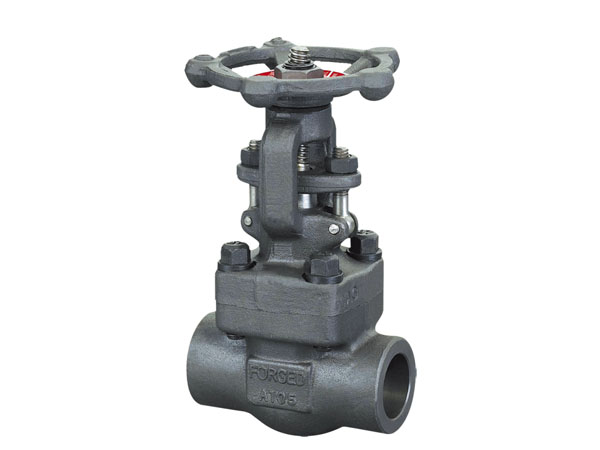 API 602 Gate Valve